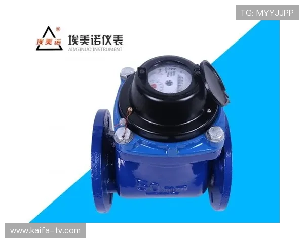 凯发k8官方入口安全支付保障措施确保每一笔交易都安全可靠